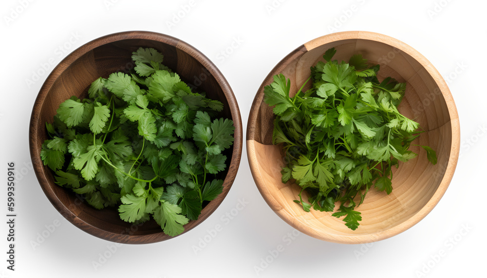 Fresh herbs in a wooden bowl: coriander, parsley, cilantro, and basil. Fresh herbs in a wooden bowl: coriander, parsley, cilantro, and basil.