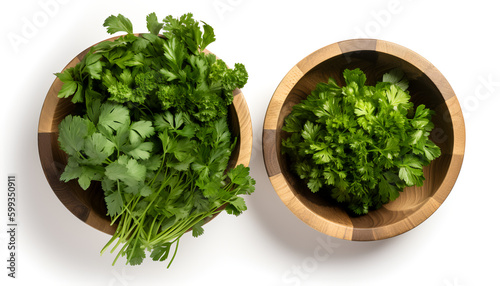 Fresh herbs in a wooden bowl: coriander, parsley, cilantro, and basil.
