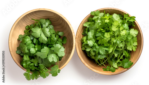 Fresh herbs in a wooden bowl: coriander, parsley, cilantro, and basil.