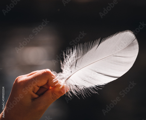 Fotografia Pluma blanca suave agarrada y sujetada con una mano