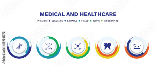 set of medical and healthcare filled icons. medical and healthcare filled icons with infographic template. flat icons such as medical chain of dna, cells in a circle, molecular configuration, molar