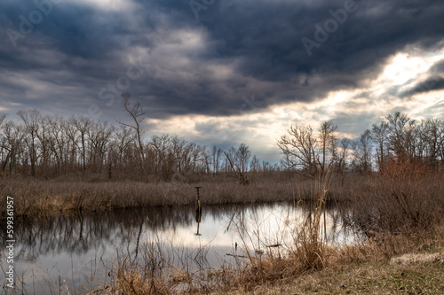 Landscape wetlands