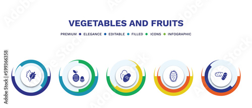 set of vegetables and fruits filled icons. vegetables and fruits filled icons with infographic template. flat icons such as arugula, lychee, tuber, rambutan, potatoes vector.