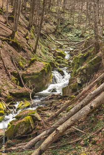 Clean mountain river in south of Serbia