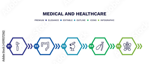 set of medical and healthcare thin line icons. medical and healthcare outline icons with infographic template. linear icons such as medical hammer tool, colon, microscope tool, gallbladder, p