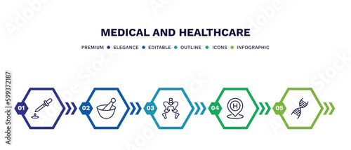 set of medical and healthcare thin line icons. medical and healthcare outline icons with infographic template. linear icons such as dosage medical tool, medicines bowl, pelvic area, hospital