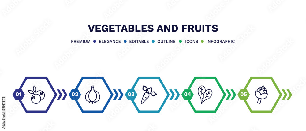 set of vegetables and fruits thin line icons. vegetables and fruits outline icons with infographic template. linear icons such as blueberries, garlic, carrot, spinach, artichoke vector.