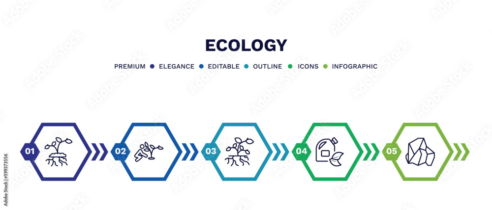 set of ecology thin line icons. ecology outline icons with infographic template. linear icons such as growing plant, plant a tree, plant and root, biodiesel, coal vector.