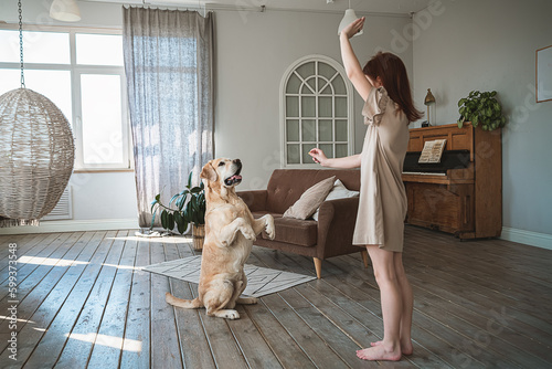 Cute girl training a Labrador dog at home