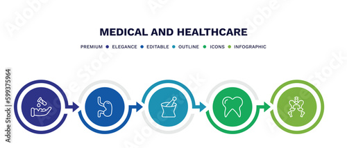 set of medical and healthcare thin line icons. medical and healthcare outline icons with infographic template. linear icons such as acid falling on hand, esophagus, phary tool, molar tooth, pelvic