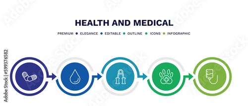 set of health and medical thin line icons. health and medical outline icons with infographic template. linear icons such as pills, blood, handgrip, veterinary, medical drip vector.