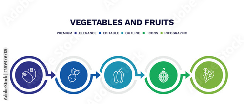 set of vegetables and fruits thin line icons. vegetables and fruits outline icons with infographic template. linear icons such as breast milk fruit, radishes, bell pepper, durian, spinach vector.