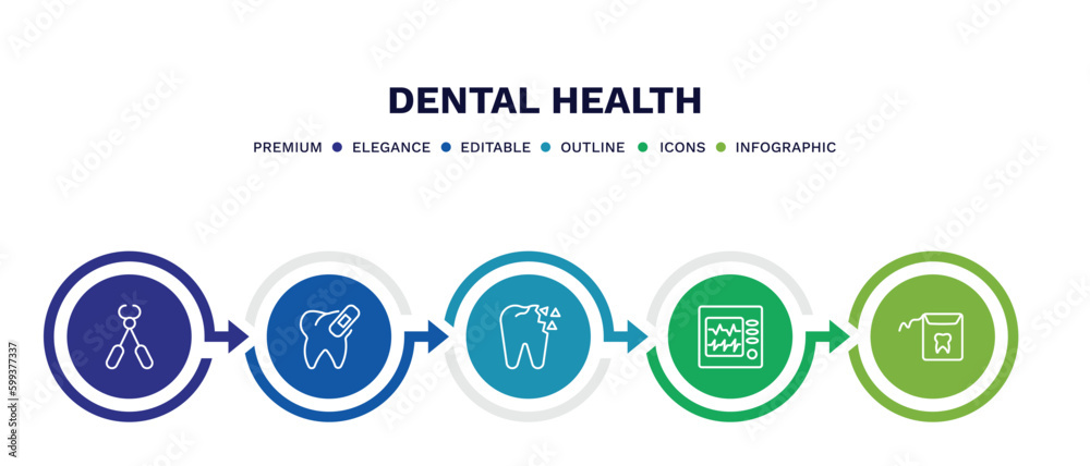 set of dental health thin line icons. dental health outline icons with infographic template. linear icons such as tooth pliers, damaged tooth, holed tooth, ekg monitor, dental floss vector. set of dental health thin line icons. dental health outline icons with infographic template. linear icons such as tooth pliers, damaged tooth, holed tooth, ekg monitor, dental floss vector.