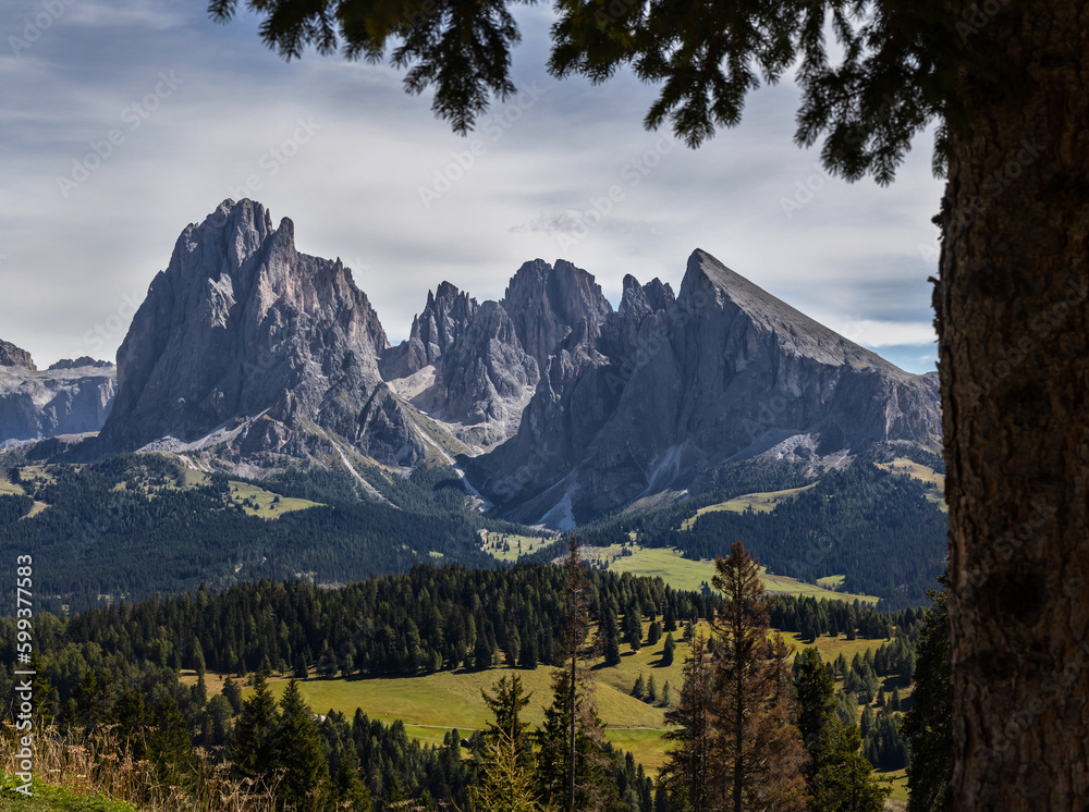 Scenic view of Sassolungo massif with Langkofel mountain from Alpe di Siusi (Seiser Alm) top cable car station. South Tyrol, Dolomites, Alps, Italy.	