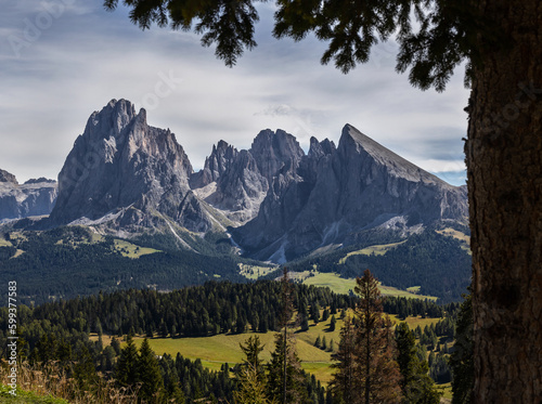 Scenic view of Sassolungo massif with Langkofel mountain from Alpe di Siusi (Seiser Alm) top cable car station. South Tyrol, Dolomites, Alps, Italy. 