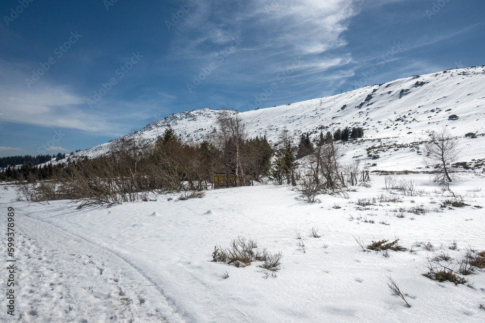 Winter landscape of Vitosha Mountain, Bulgaria