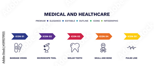 set of medical and healthcare thin line icons. medical and healthcare outline icons with infographic template. linear icons such as bandage cross, microscope tool, molar tooth, skull and bone, pulse