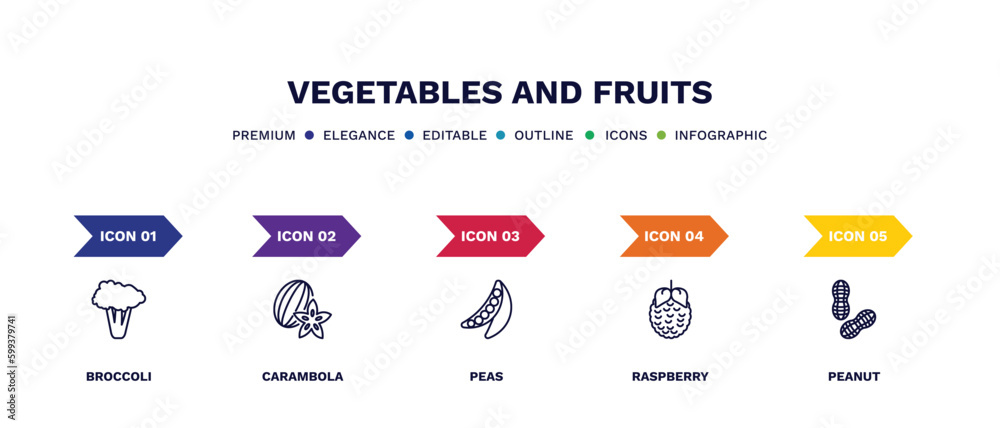 set of vegetables and fruits thin line icons. vegetables and fruits outline icons with infographic template. linear icons such as broccoli, carambola, peas, raspberry, peanut vector. set of vegetables and fruits thin line icons. vegetables and fruits outline icons with infographic template. linear icons such as broccoli, carambola, peas, raspberry, peanut vector.