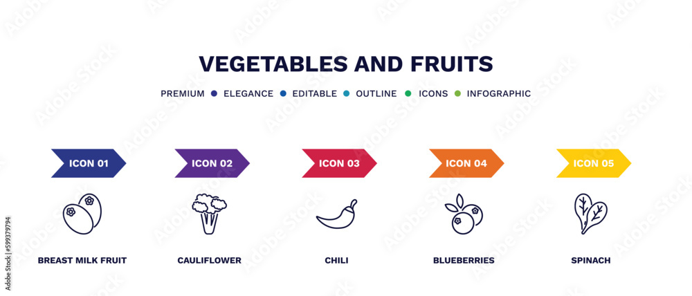 set of vegetables and fruits thin line icons. vegetables and fruits outline icons with infographic template. linear icons such as breast milk fruit, cauliflower, chili, blueberries, spinach vector.