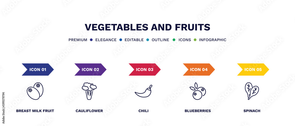 set of vegetables and fruits thin line icons. vegetables and fruits outline icons with infographic template. linear icons such as breast milk fruit, cauliflower, chili, blueberries, spinach vector. set of vegetables and fruits thin line icons. vegetables and fruits outline icons with infographic template. linear icons such as breast milk fruit, cauliflower, chili, blueberries, spinach vector.