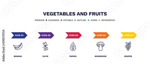 set of vegetables and fruits thin line icons. vegetables and fruits outline icons with infographic template. linear icons such as banana, olive, papaya, mushroom, grapes vector.