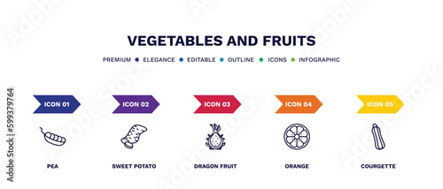 set of vegetables and fruits thin line icons. vegetables and fruits outline icons with infographic template. linear icons such as pea, sweet potato, dragon fruit, orange, courgette vector.