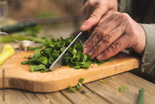 Human hands cutting wild garlic for salad