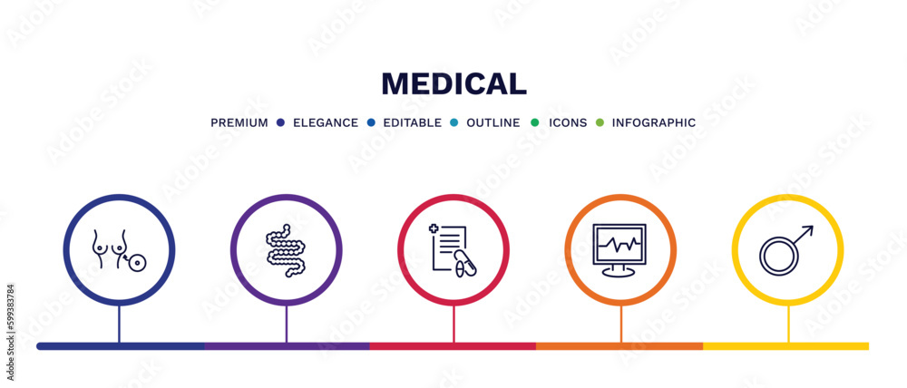 set of medical thin line icons. medical outline icons with infographic template. linear icons such as breast implant, intestines, prescription, ecg, male vector.