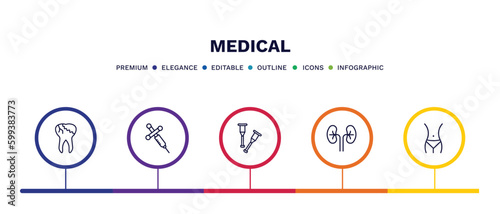 set of medical thin line icons. medical outline icons with infographic template. linear icons such as caries, anesthesia, crutch, kidney, fit vector.