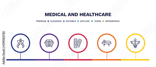 set of medical and healthcare thin line icons. medical and healthcare outline icons with infographic template. linear icons such as pelvic area, sternum, plastering, illness on bed, caduceus vector.