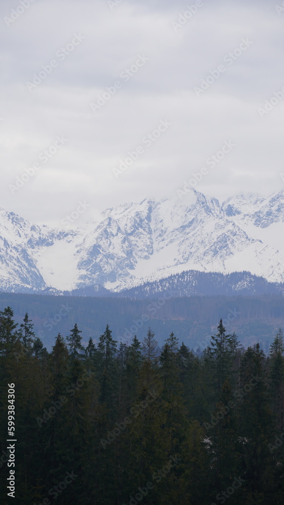 Fototapeta premium Tatry w śniegu góry mountains, zakopane