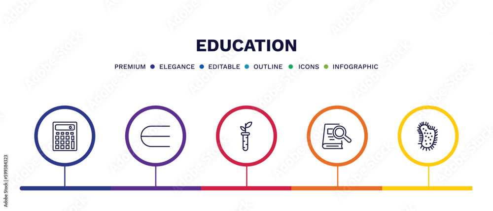 set of education thin line icons. education outline icons with infographic template. linear icons such as school calculator, is an element of, plant sample, book and magnifier, parasites vector.