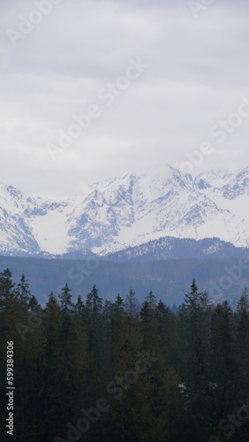 Tatry w śniegu góry mountains, zakopane 