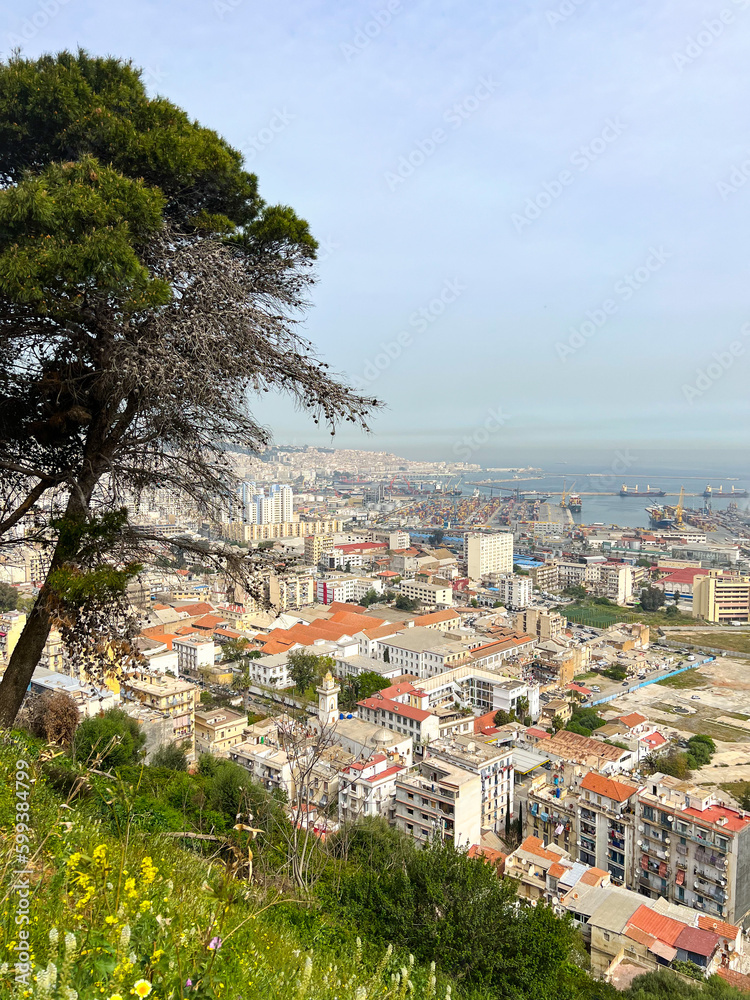 View of Algiers from Memorial du Martyr