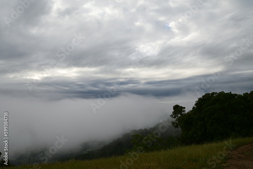 clouds over the forest © Ryan