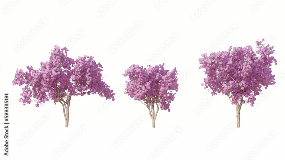 Set of 3D flowering trees Isolated on white background, Use for visualization in graphic design