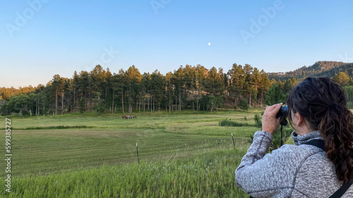 woman looking through binoculars at horses in the fields near Custer State Park with sunset moon © Kurt