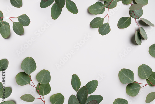 Natural green eucalyptus branches on empty light grey background with copy space. Trendy layout with fresh plant. Eco spring concept. Skin care product layout. Top view, flat lay. Minimal composition.