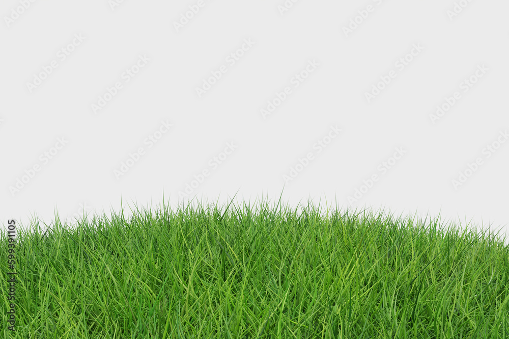 Naklejka premium Fresh spring green grass., Green grass border set on transparent background. green grass field isolated on white background