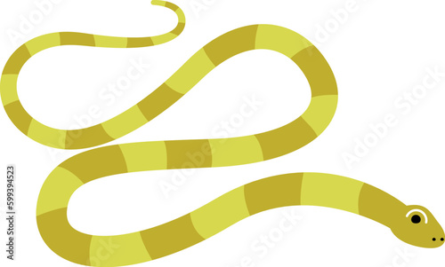 Snake Reptile Animal