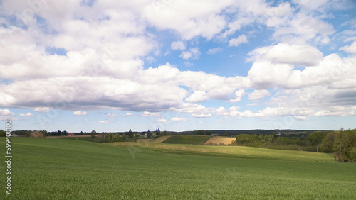 Panoramic view of a green meadow and a blue sky