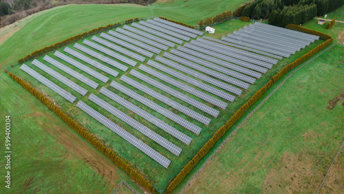 A wide-angle shot of solar panels set amidst a lush green forest. The contrast between nature and technology is striking, as the panels provide a powerful reminder of our responsibility to protect the