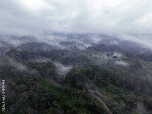 Mist rising from the amazon rainforest reflecting the importance of transpiration from the forest in driving precipitation