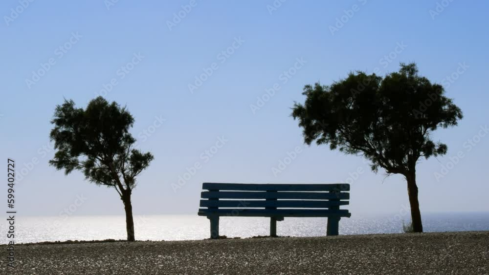 A bench overlooking the sea between two trees. A bench overlooking the sea between two trees.