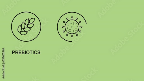 Postbiotic, prebiotic, and probiotic text on a green background. The concept of a healthy gut. Beneficial bacteria.