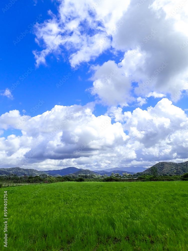 Green grass field and blue sky clouds summer landscape background, green meadows, landscape of grass field and green environment, Sky and grass background, fresh green fields under blue sky in spring. Green grass field and blue sky clouds summer landscape background, green meadows, landscape of grass field and green environment, Sky and grass background, fresh green fields under blue sky in spring.
