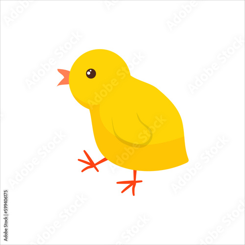 Chicken Yellow fluffy Poultry. Cute animal. Livestock, animal, Farming. Farm. Vector illustration isolated on white background.