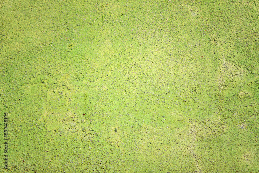 Green concrete surface with old faded paint. Old cement texture