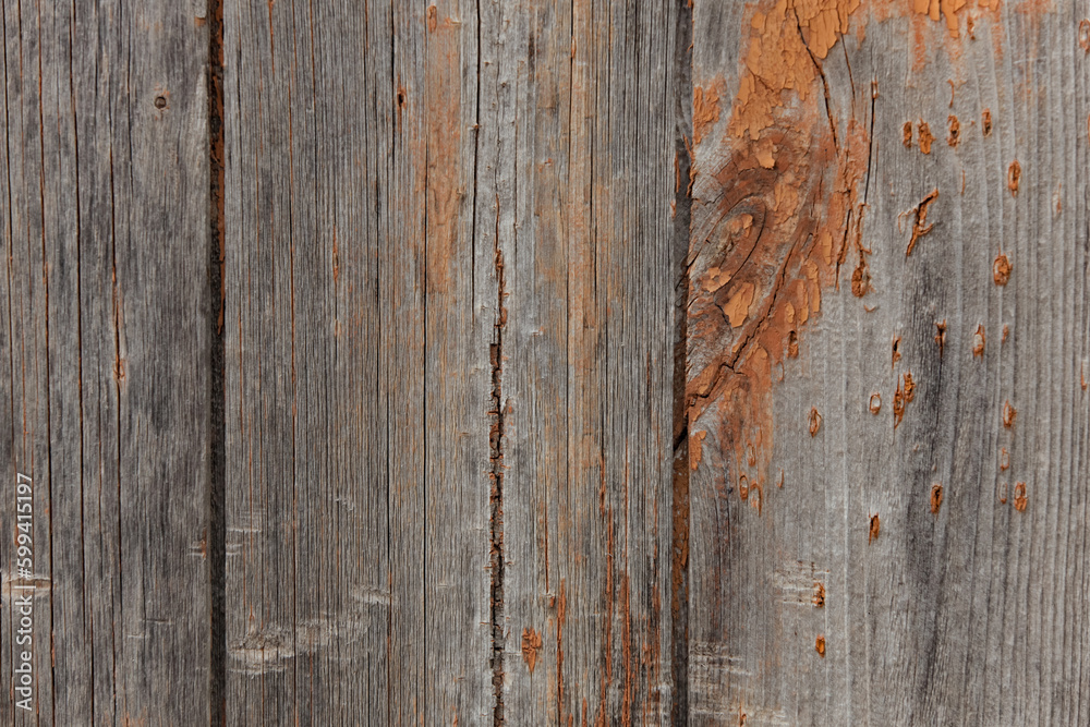 Texture of old wood. Grunge wooden surface with worn paint