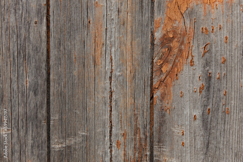 Obraz na płótnie Texture of old wood. Grunge wooden surface with worn paint w salonie